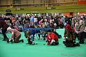 Crufts2011_2 908